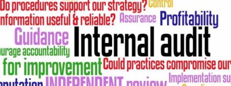 İç Denetimin Varlığı İç Kontrollerle İlgili Sorumlulukları Ortadan Kaldırır mı?